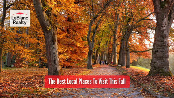 Fall is one of the best times to go outside and explore your local community. Here are some of the destinations you should visit.
