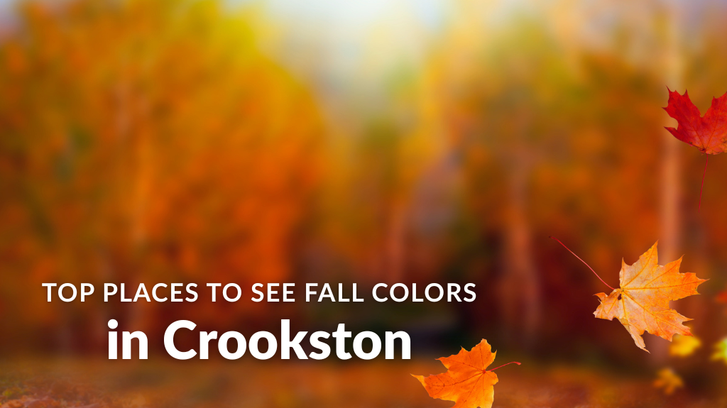 Fall Leaves Crookston